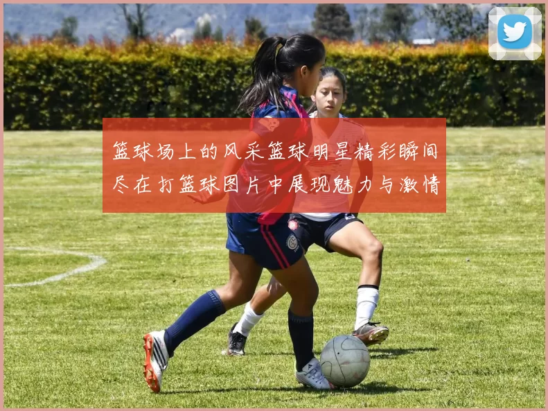 篮球场上的风采篮球明星精彩瞬间尽在打篮球图片中展现魅力与激情