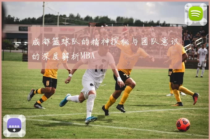 成都篮球队的精神探秘与团队意识的深度解析MBA