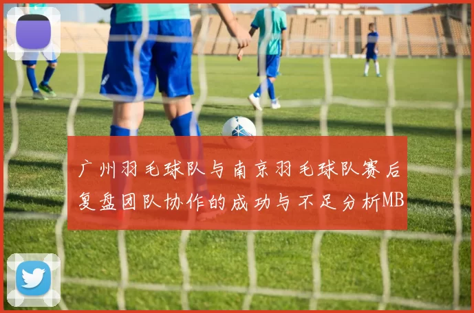 广州羽毛球队与南京羽毛球队赛后复盘团队协作的成功与不足分析MBA