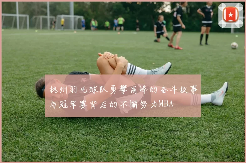 杭州羽毛球队勇攀高峰的奋斗故事与冠军赛背后的不懈努力MBA